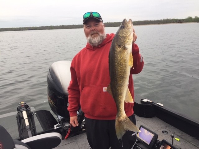 Walleye caught by MN Fishing Guide Todd Andrist